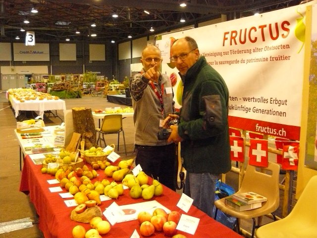 5 ch fructus 58gm